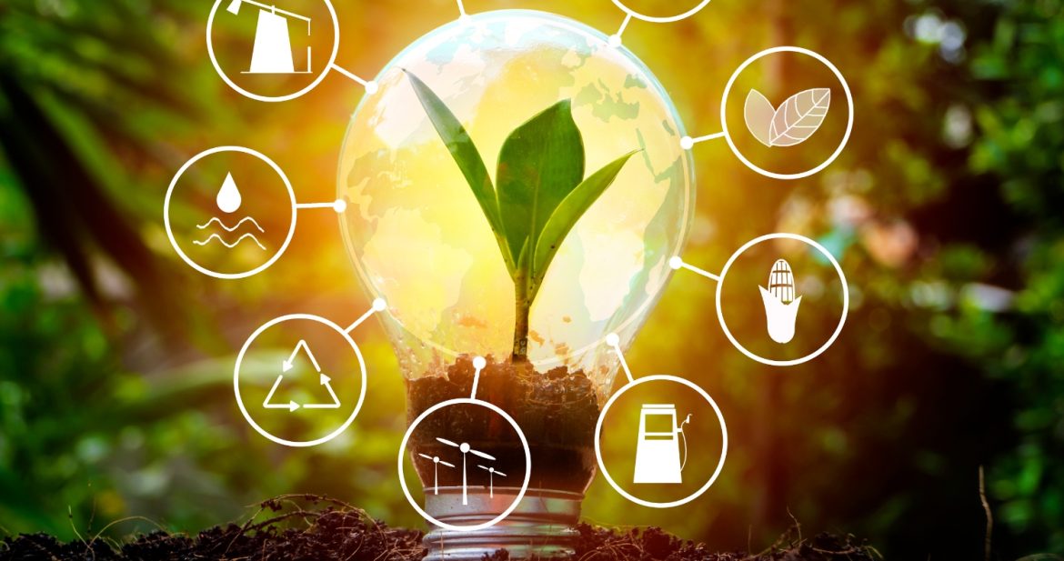 The Growing Importance of Renewable Energy Investments The Growing Importance of Renewable Energy Investments